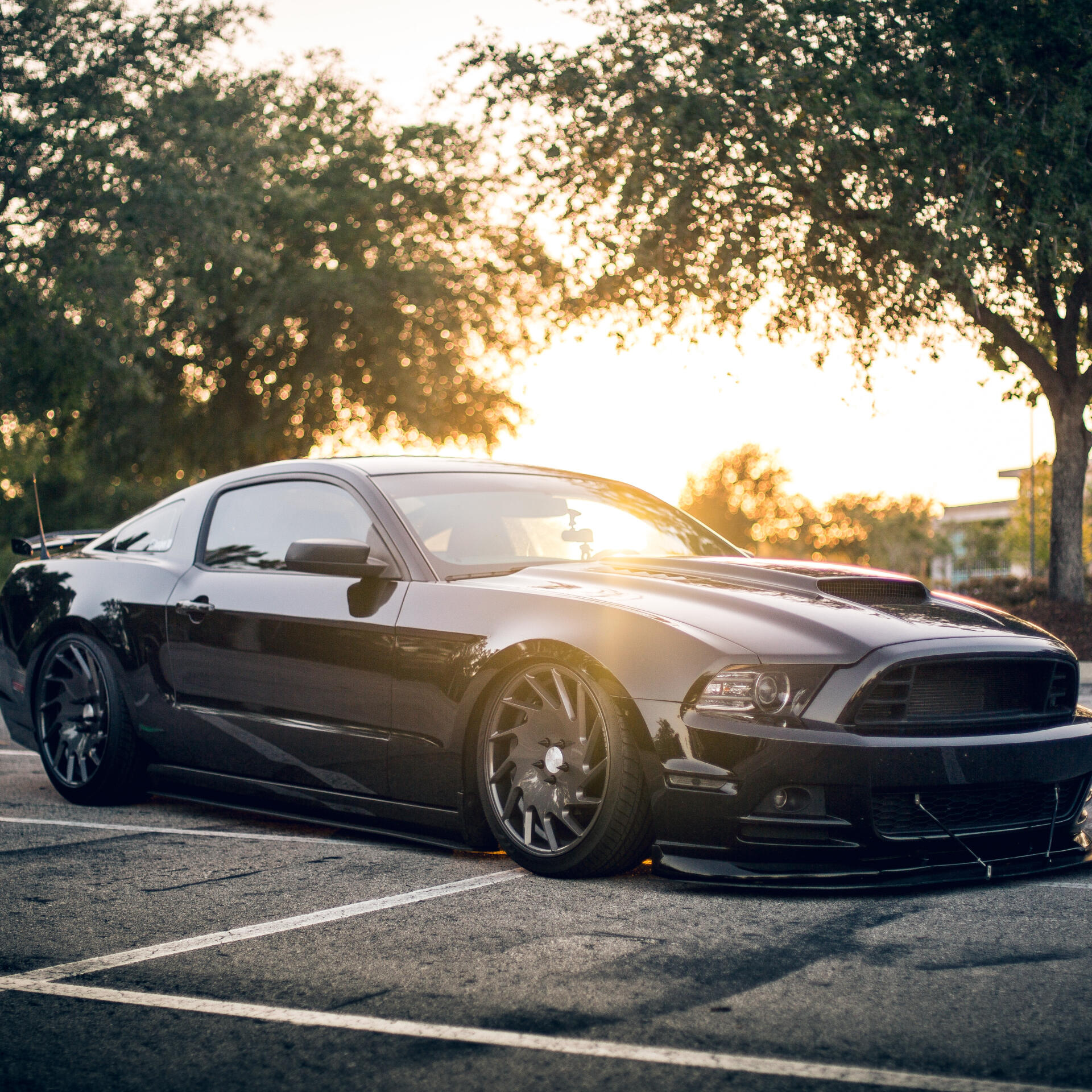 Black Ford Mustang GT